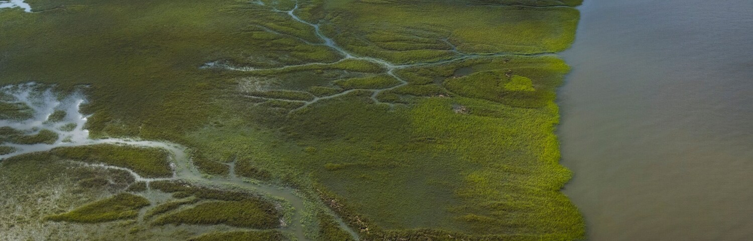 Aerial view of abstract wetlands with beautiful patterns and shapes, Brunswick, United States.