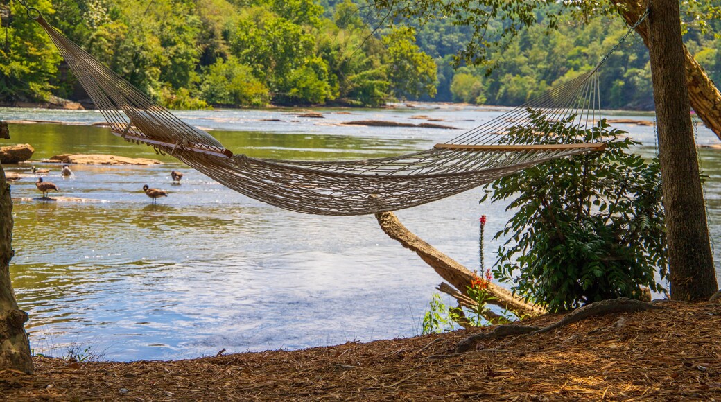 a gorgeous summer landscape along the Chattahoochee river with a white hammock surrounded by lush treen trees, grass and plants with Canadian geese on the water and blue sky with clouds