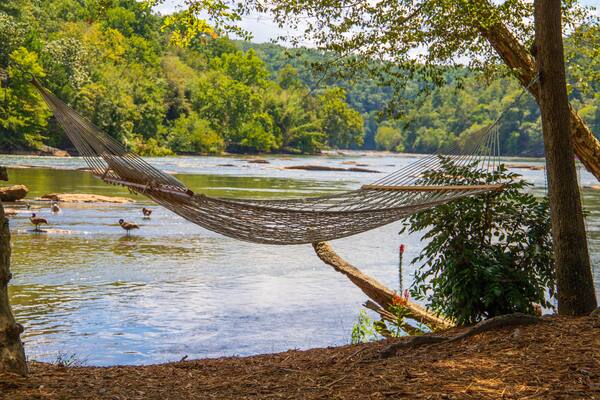 a gorgeous summer landscape along the Chattahoochee river with a white hammock surrounded by lush treen trees, grass and plants with Canadian geese on the water and blue sky with clouds
