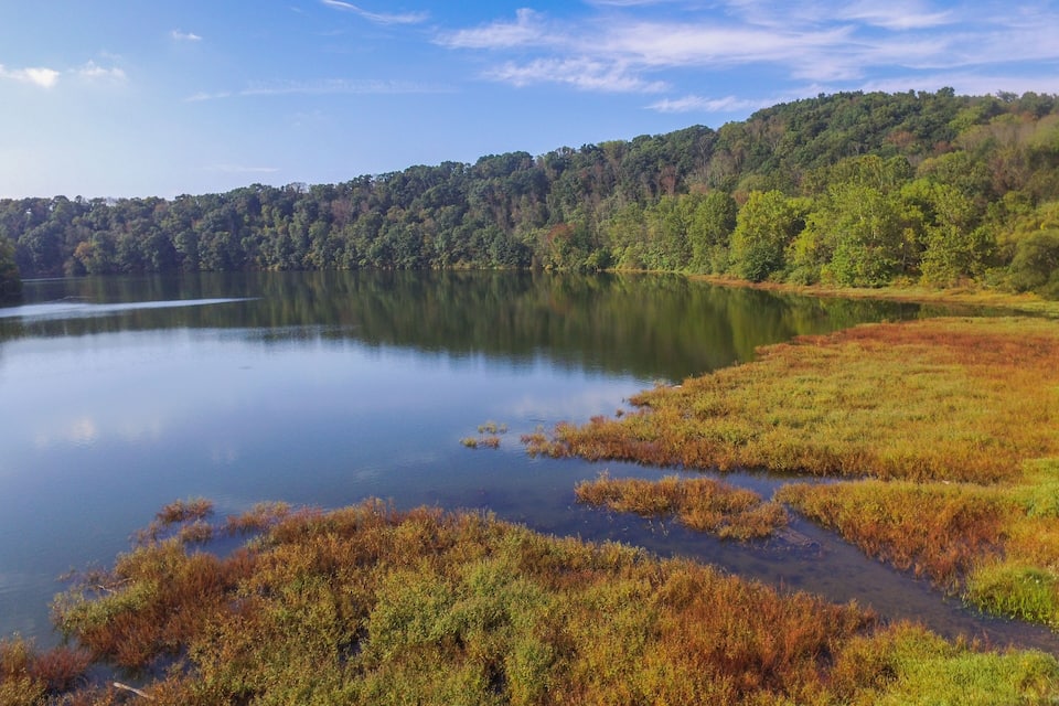A calm lake surrounded by dense forest and grassy areas.