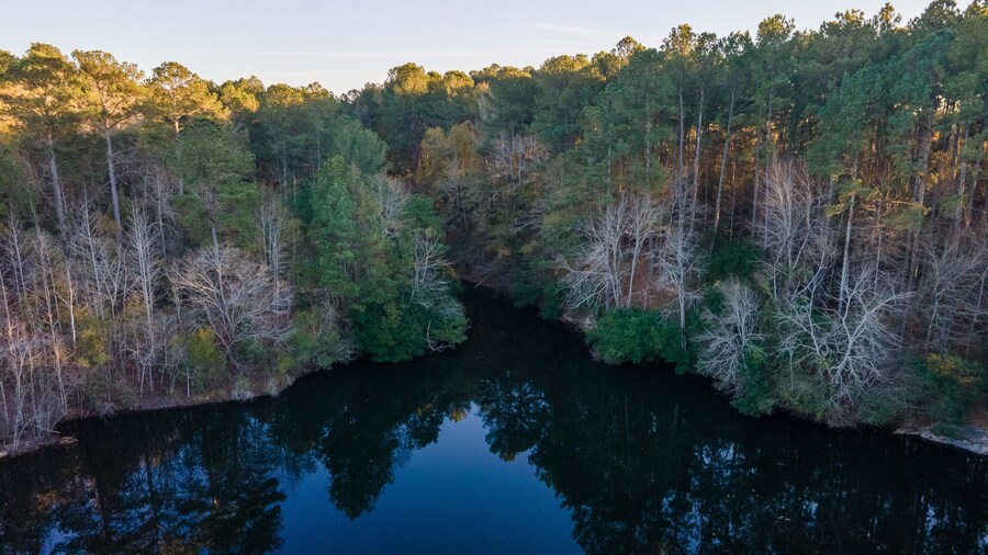 Aerial landscape of pond at Euchee Creek Greenway Trail during Fall in Grovetown Augusta Georgia