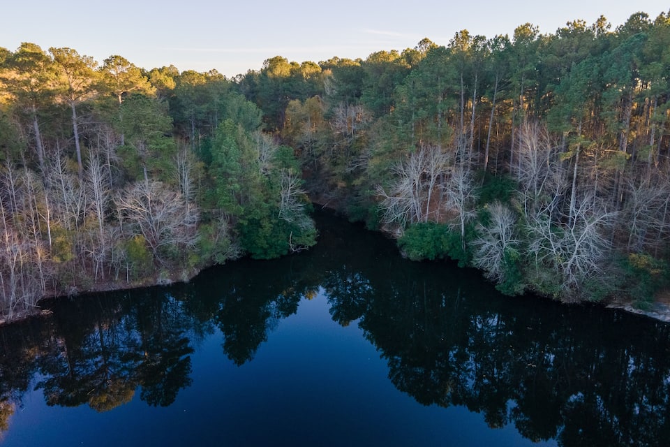 Un río rodeado de un bosque denso.