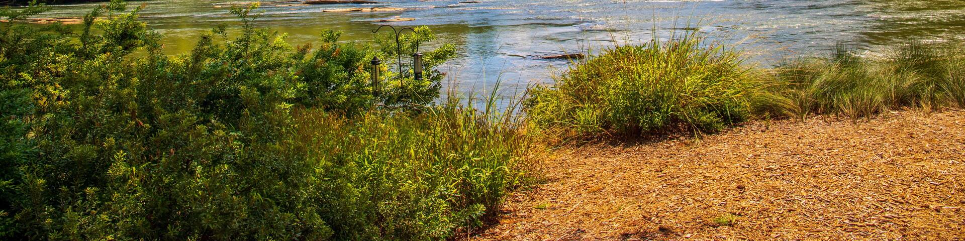 a gorgeous summer landscape along the Chattahoochee river with flowing river water surrounded by lush green trees, grass and plants with powerful clouds at sunset at Walton On The Chattahoochee