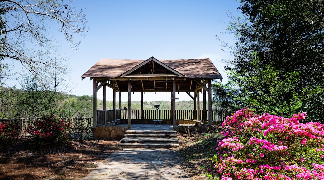 アザレア パーク