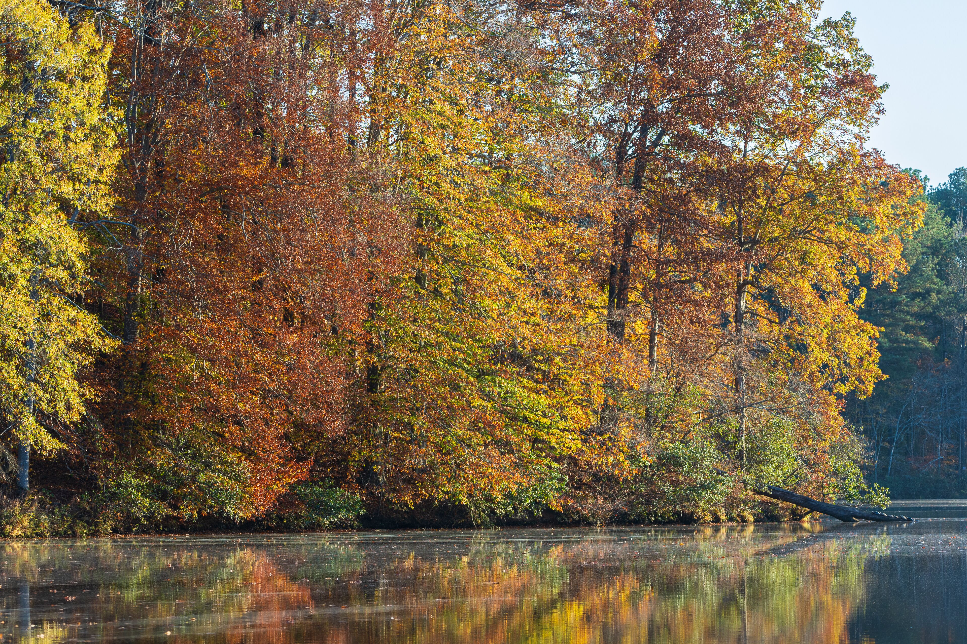 Beautiful Fall Colors Reflect Onto A Serene North Georgia Lake