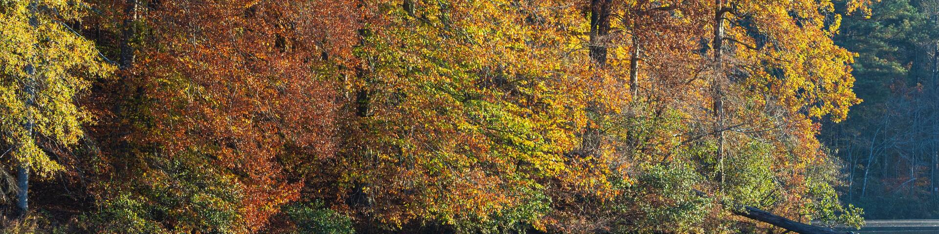 Beautiful Fall Colors Reflect Onto A Serene North Georgia Lake