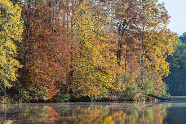 Beautiful Fall Colors Reflect Onto A Serene North Georgia Lake