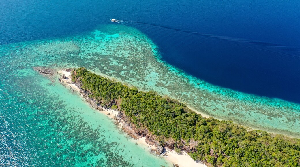 Aerial view of Malcapuya Island, Culion, Palawan, Philippines.