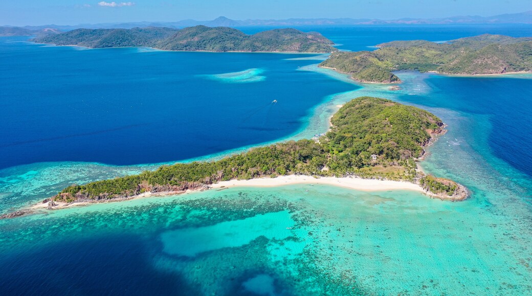 Aerial view of Malcapuya Island, Culion, Palawan, Philippines