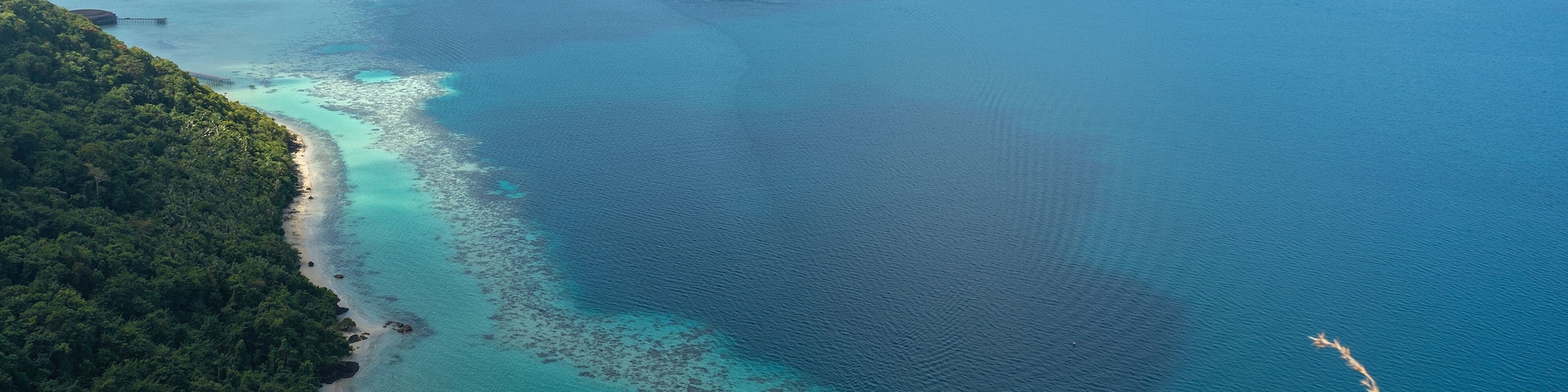 Spectacular view from above showcasing vibrant turquoise waters meeting a lush green coastline, dotted with boats, under a clear blue sky.