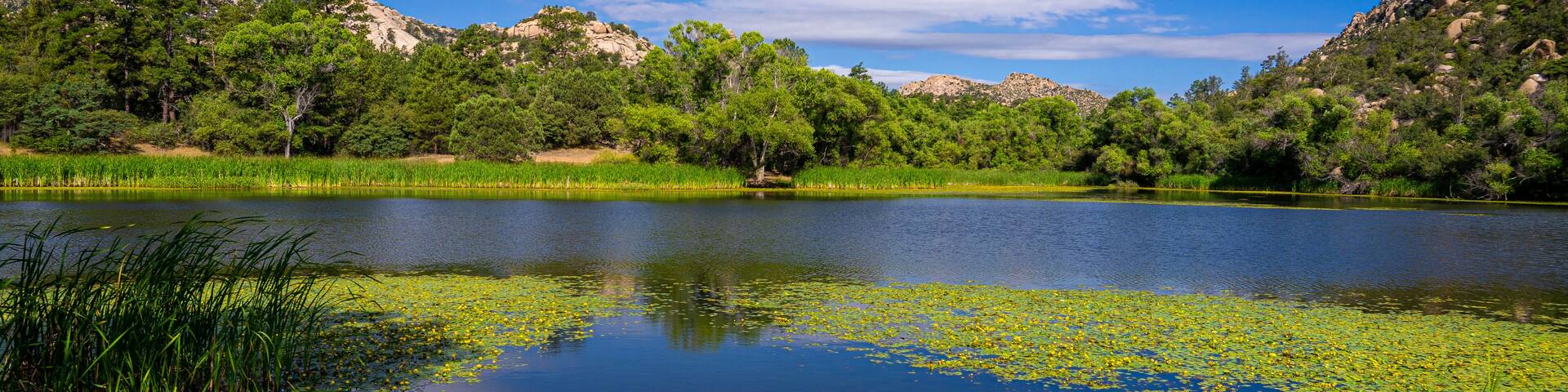 This image was captured at Granite Basin Lake in the Granite Mountain Recreational area in Prescott, Arizona. Cattails and lily pads are seen by the shoreline.