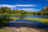This image was captured at Granite Basin Lake in the Granite Mountain Recreational area in Prescott, Arizona. Cattails and lily pads are seen by the shoreline.