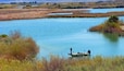 Bass fishing on Squaw lake (backwaters of Colorado River) - About 35 minutes north of Yuma. Arizona