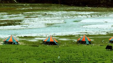 A grassy field with tents and a river.