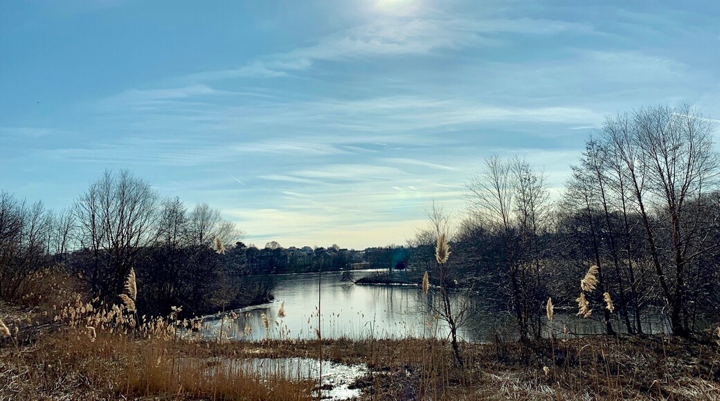 Cold but sunny
A day out stretching my lazy legs..... đ¶đ»ââïžđ¶đ»ââïžđ¶đ»ââïžđ¶đ»ââïž