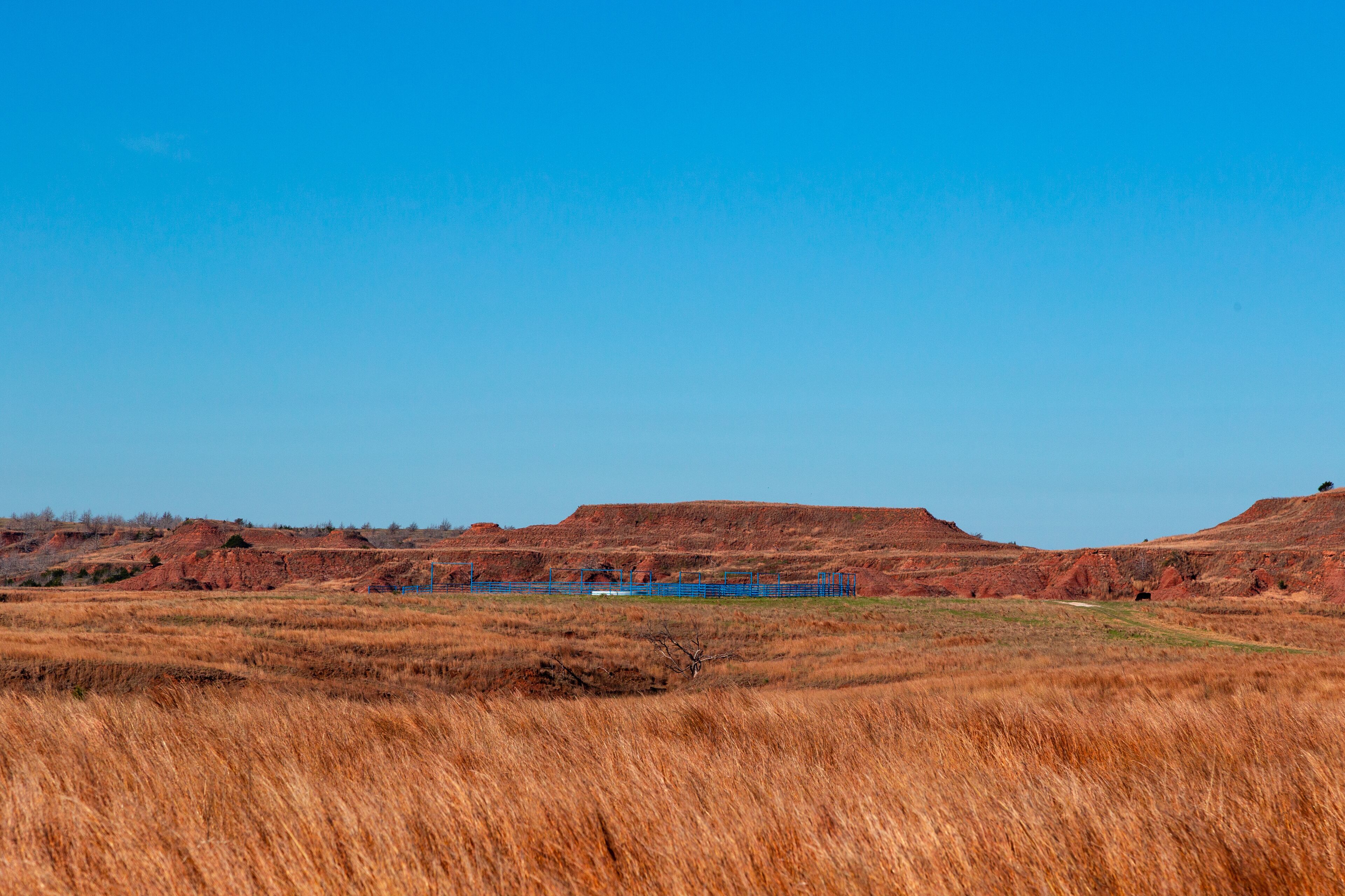 A landscape with rolling hills, dry grass, and a blue fence.