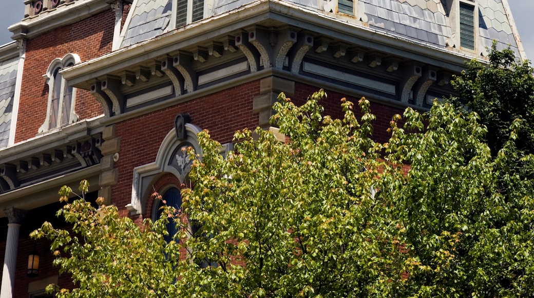 Courthouse in Medina