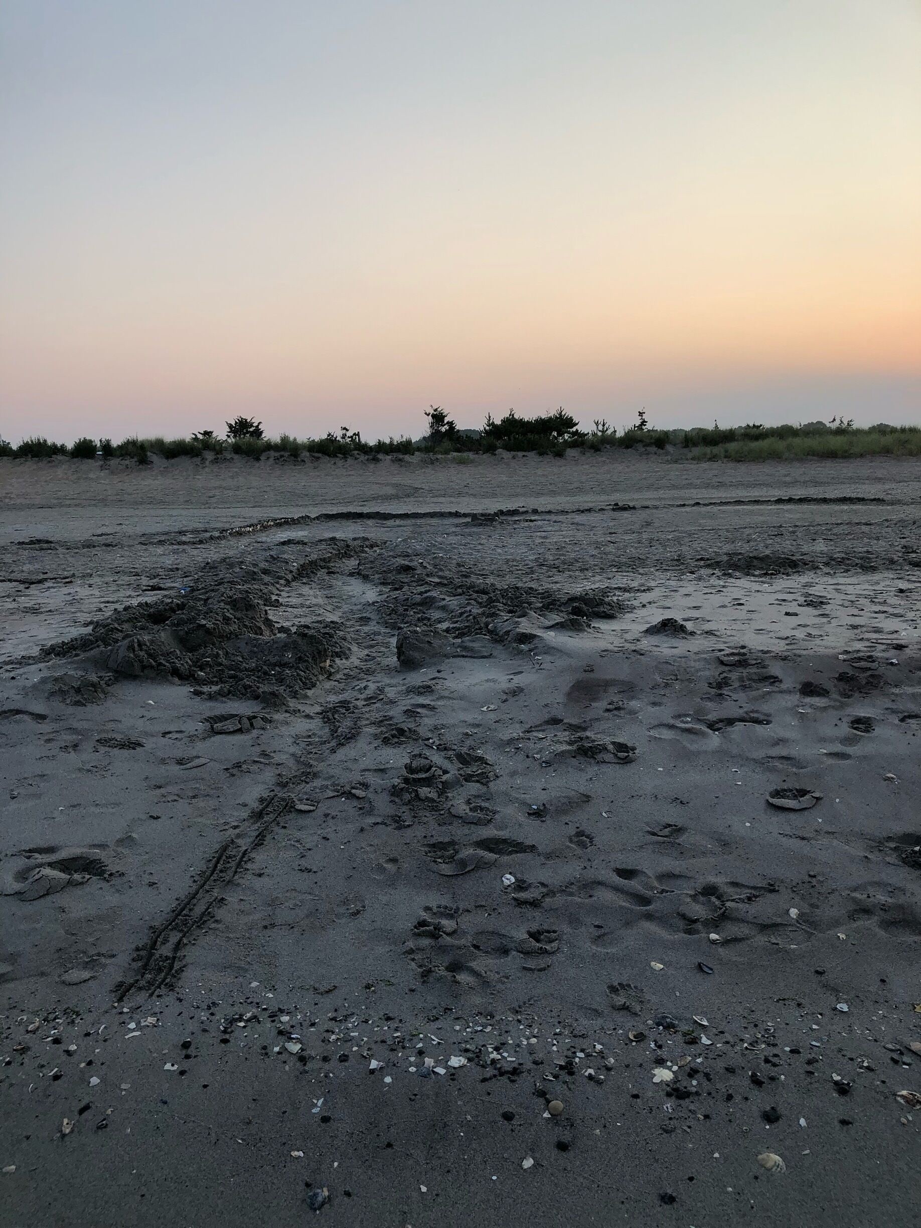 Nice quiet morning walk had the beach to myself 