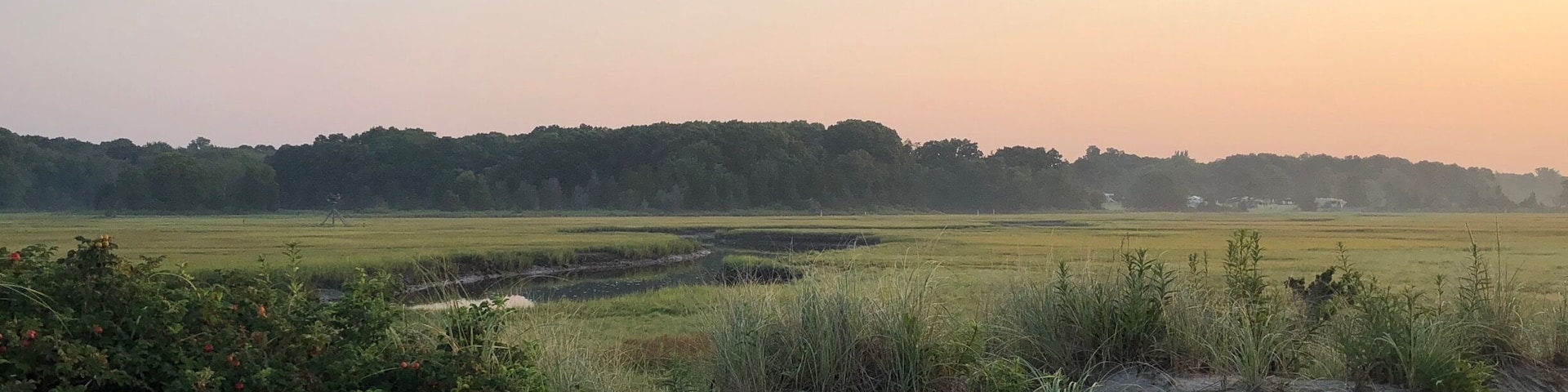 Gorgeous sunrise