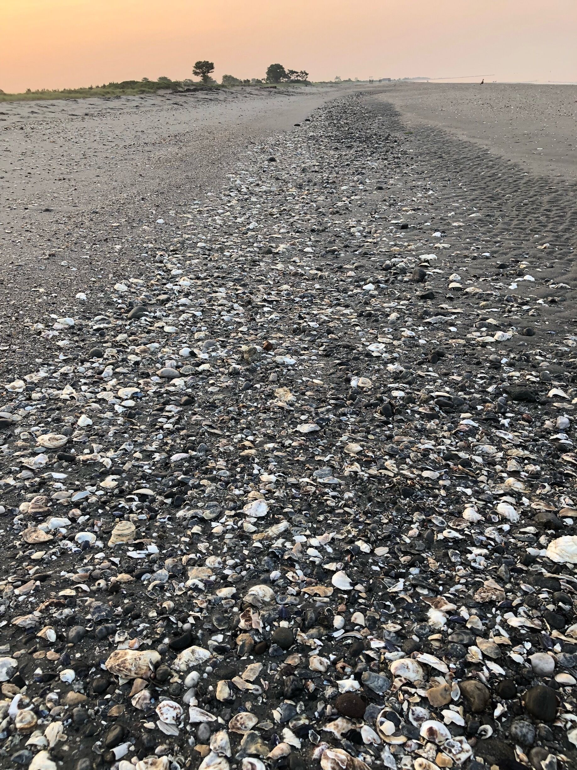 Nice place for a dawn walk any later and you hit the crowds 