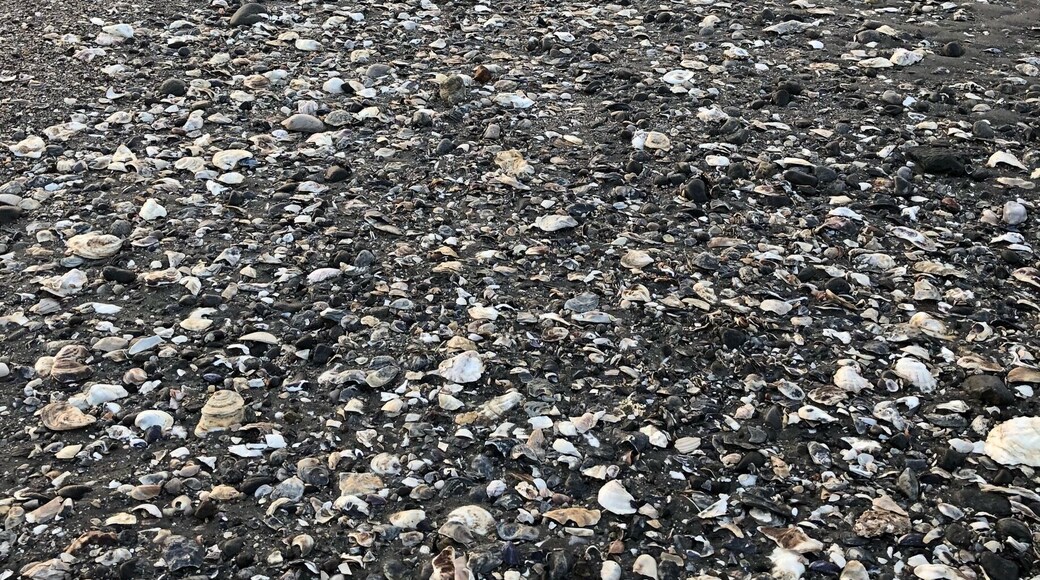 Nice place for a dawn walk any later and you hit the crowds