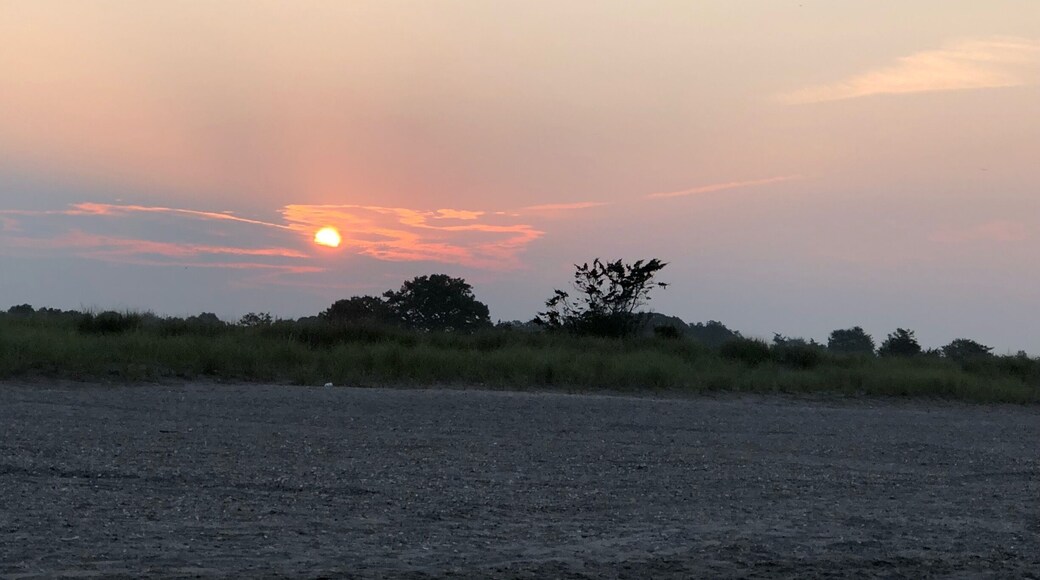 Looks a little like out of Africa