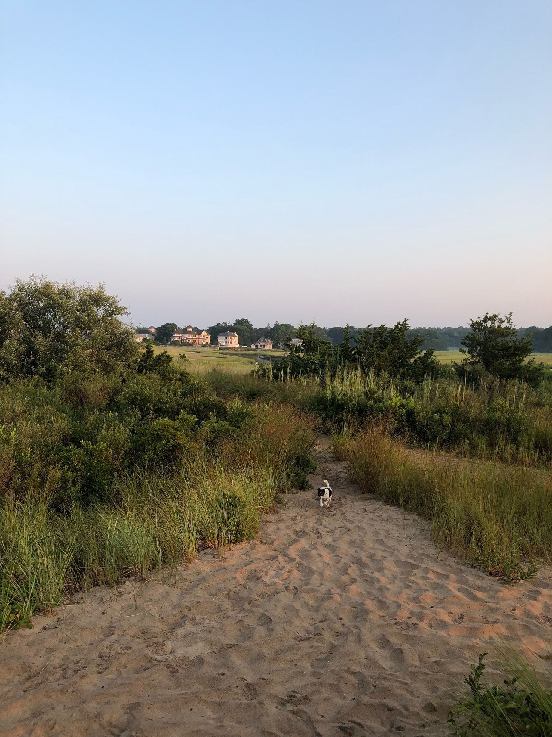 Walk the trail to the beach at sunrise and the beach is all yours 
