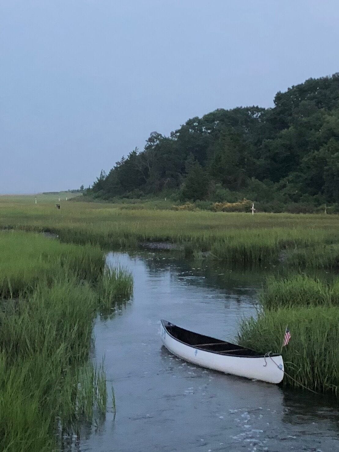 Just across the street from a very crowded and expensive campground $33 per night 