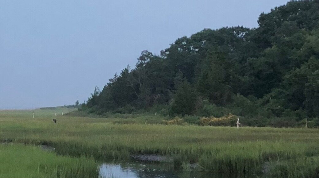 Just across the street from a very crowded and expensive campground $33 per night