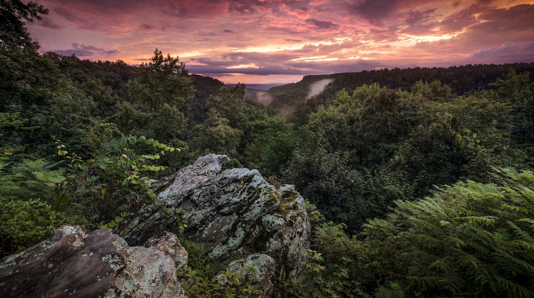 Petit Jean State Park Arkansas. Overlook scenic view from Petit Jean sate park near Morrilton Arkansas.