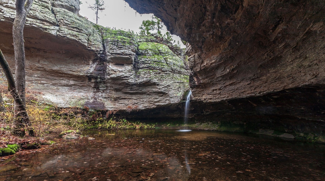 A clear stream flowing through a rocky gorge with a waterfall.