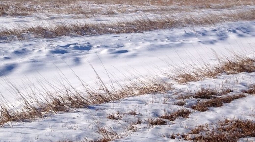 McPherson Ks Wetlands