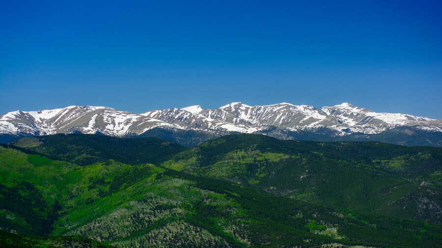 Colorado Mountain Landscape with Green Pine Forests and Snowcapped Peaks