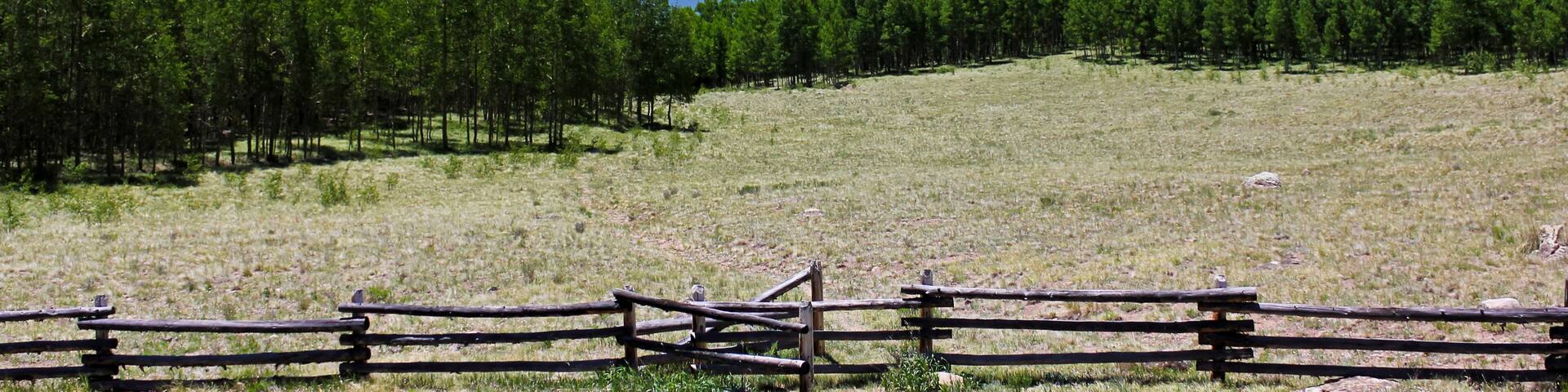 A grassy field with a wooden fence, dense forests, and a mountain range with snow-capped peaks in the background.