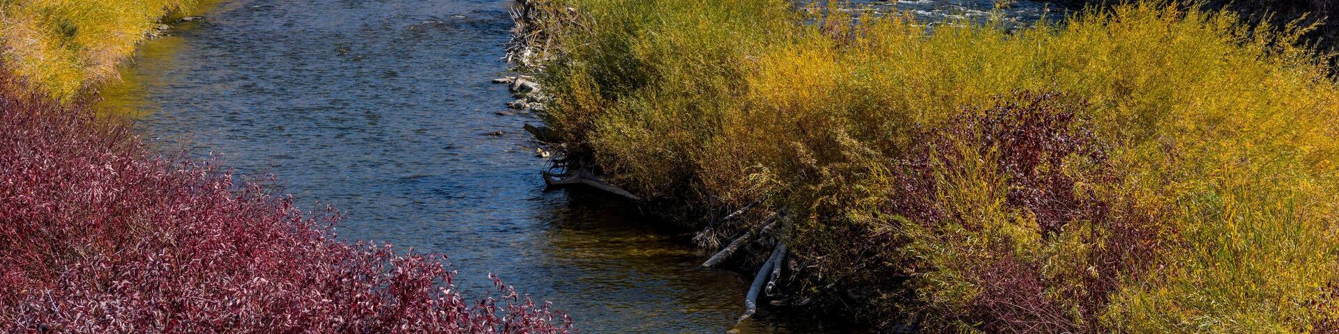 A river flowing through a valley with autumn-colored trees and a rocky mountain in the background.