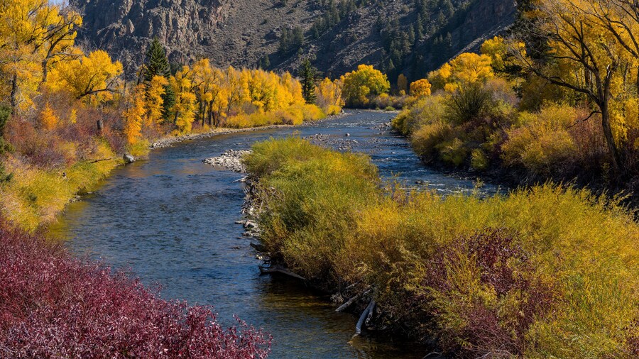 Autumn at Gunnison River - A panoramic overview of winding Gunnison River at south of Almont, where Taylor and East Rivers meet to form Gunnison River, on a sunny Autumn morning. Gunnison, CO, USA.