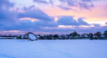 A snowy landscape with a satellite dish in the foreground and houses in the background under a colorful sky.