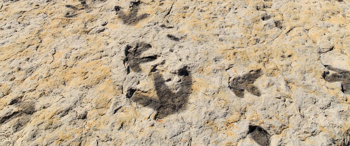 Dinosaur foot prints from what was once tidal flats on the shore of an ancient ocean in the Morrison Fossil Area National Natural Landmark, just outside of Denver Colorado, USA.