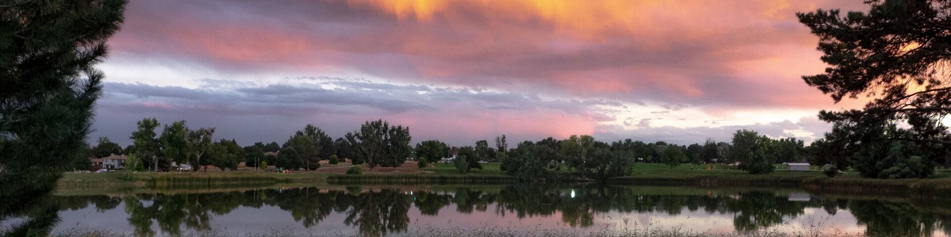 A serene landscape with a reflective pond, surrounded by trees and a cloudy sky.