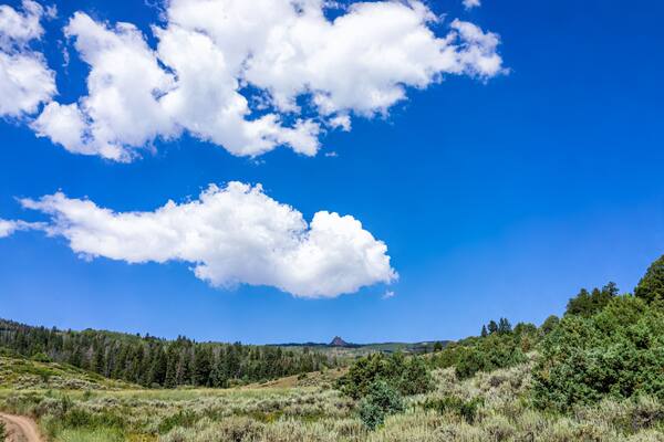 Castle Peak park in Colorado with coniferous trees and desert sage brush on landscape in Eagle County