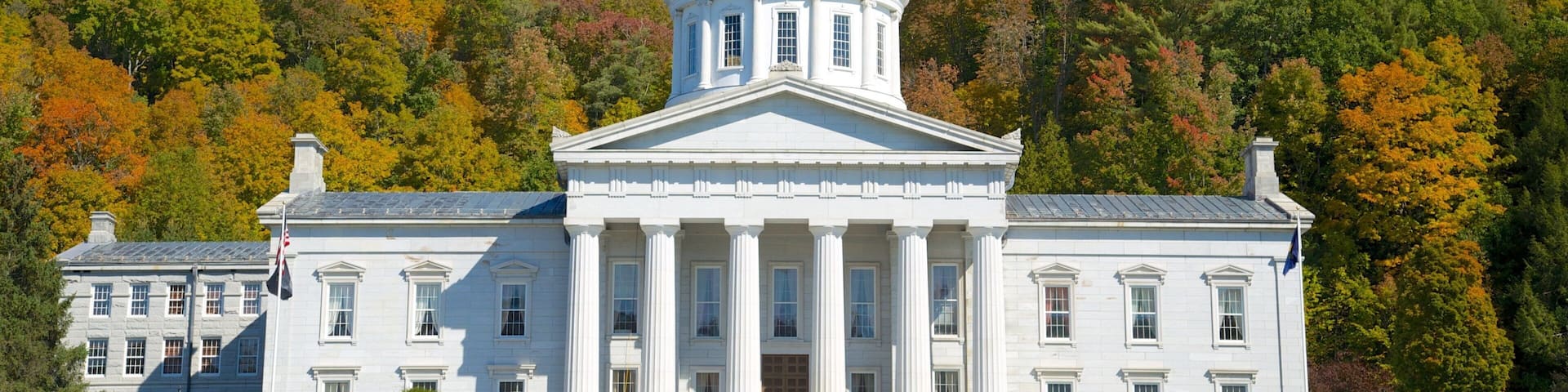 Montpelier showing heritage architecture, an administrative buidling and forest scenes