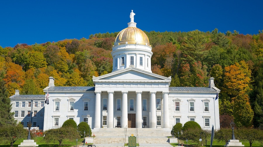 Montpelier showing heritage architecture, an administrative buidling and forest scenes