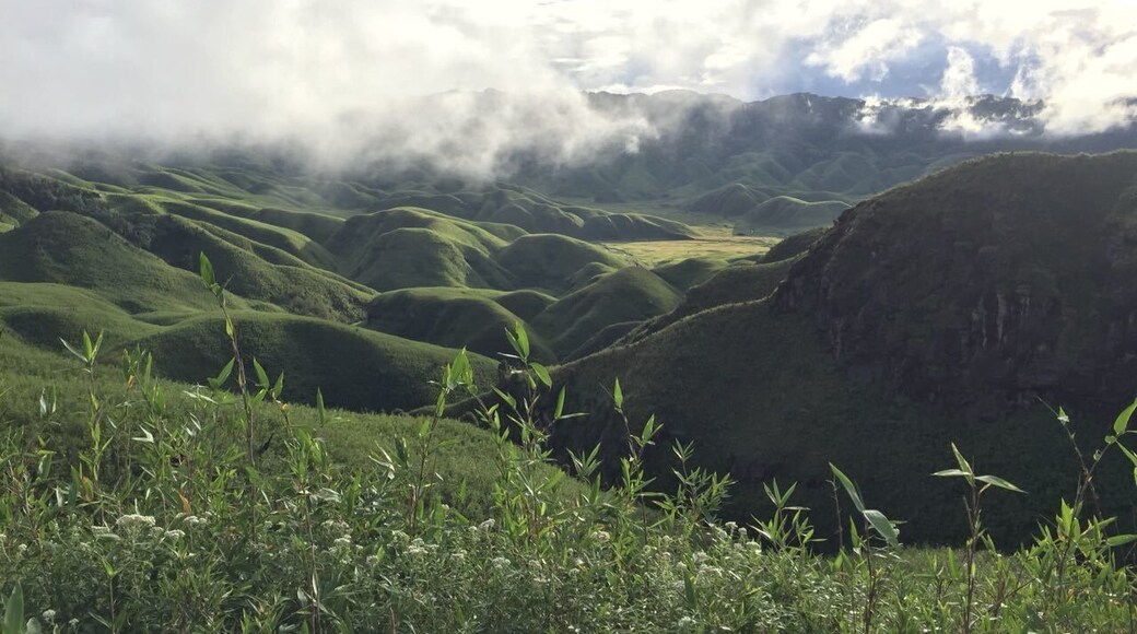 Amazing landscape in the north east of India