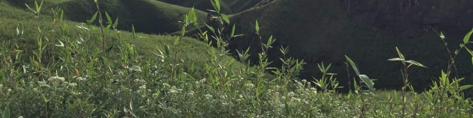 Amazing landscape in the north east of India