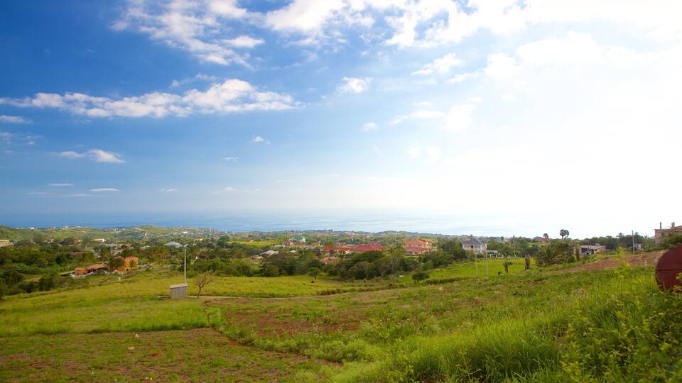 A coastal landscape with green fields, scattered houses, and a clear blue sky.