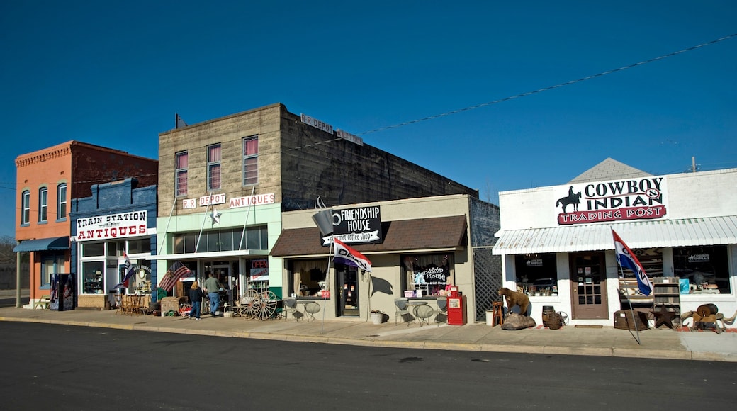 Mena which includes a small town or village and shopping