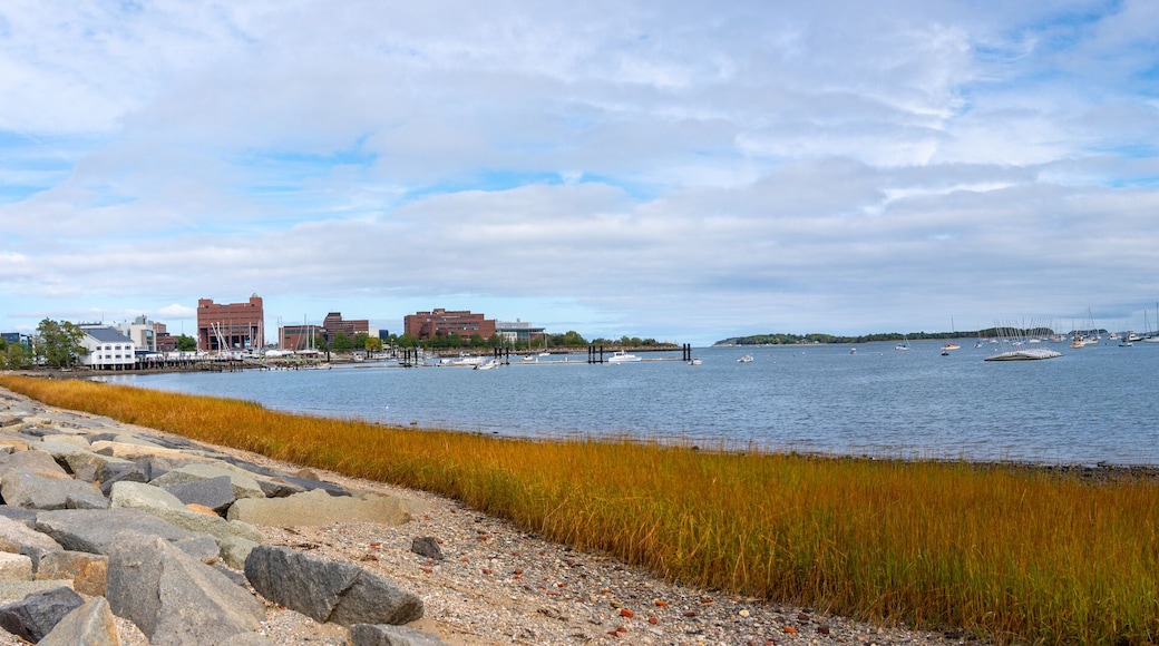 Panoramic View of the Quincy Bay from Shore with many sail boats in the water