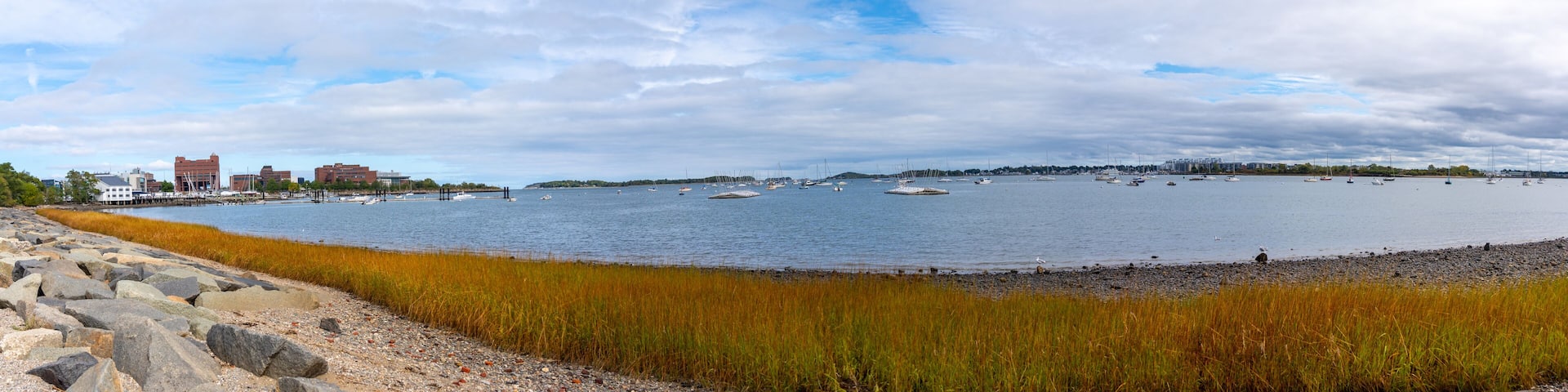 Panoramic View of the Quincy Bay from Shore with many sail boats in the water