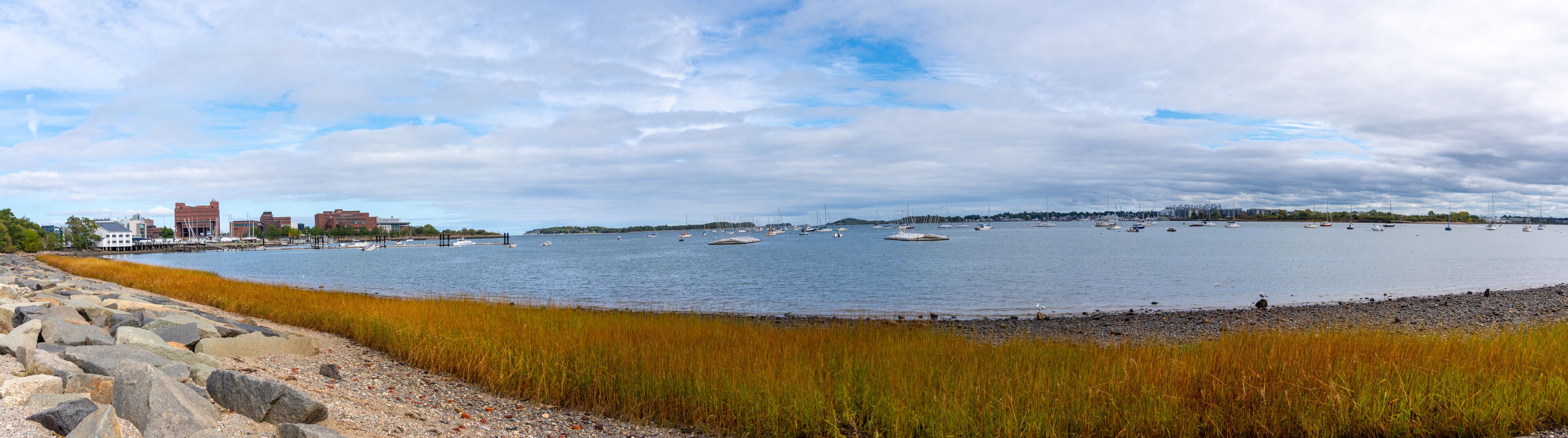 A coastal scene with a rocky shoreline, grassy dunes, and a calm bay with numerous boats.