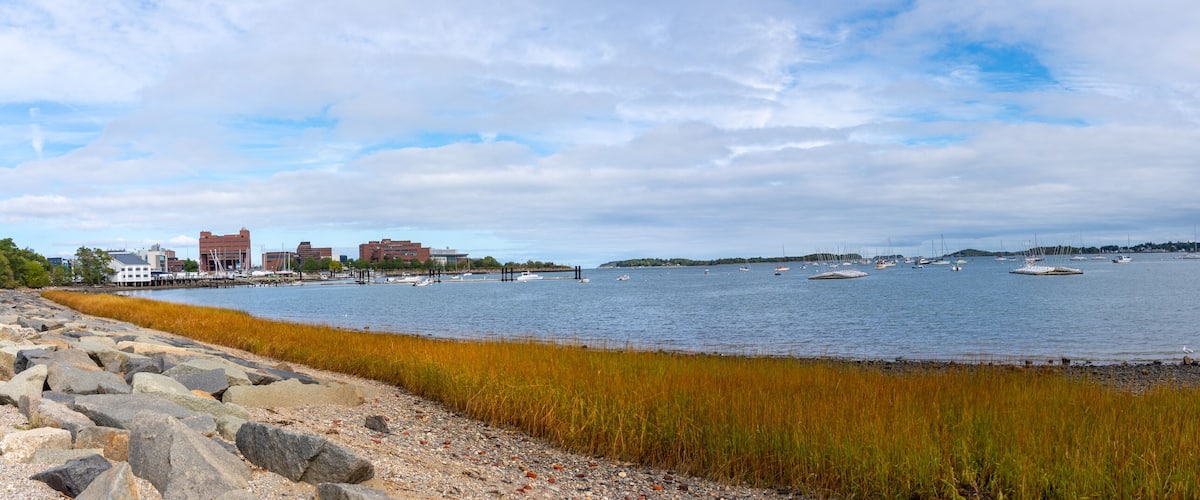 A coastal scene with a rocky shoreline, grassy dunes, and a calm bay with numerous boats.